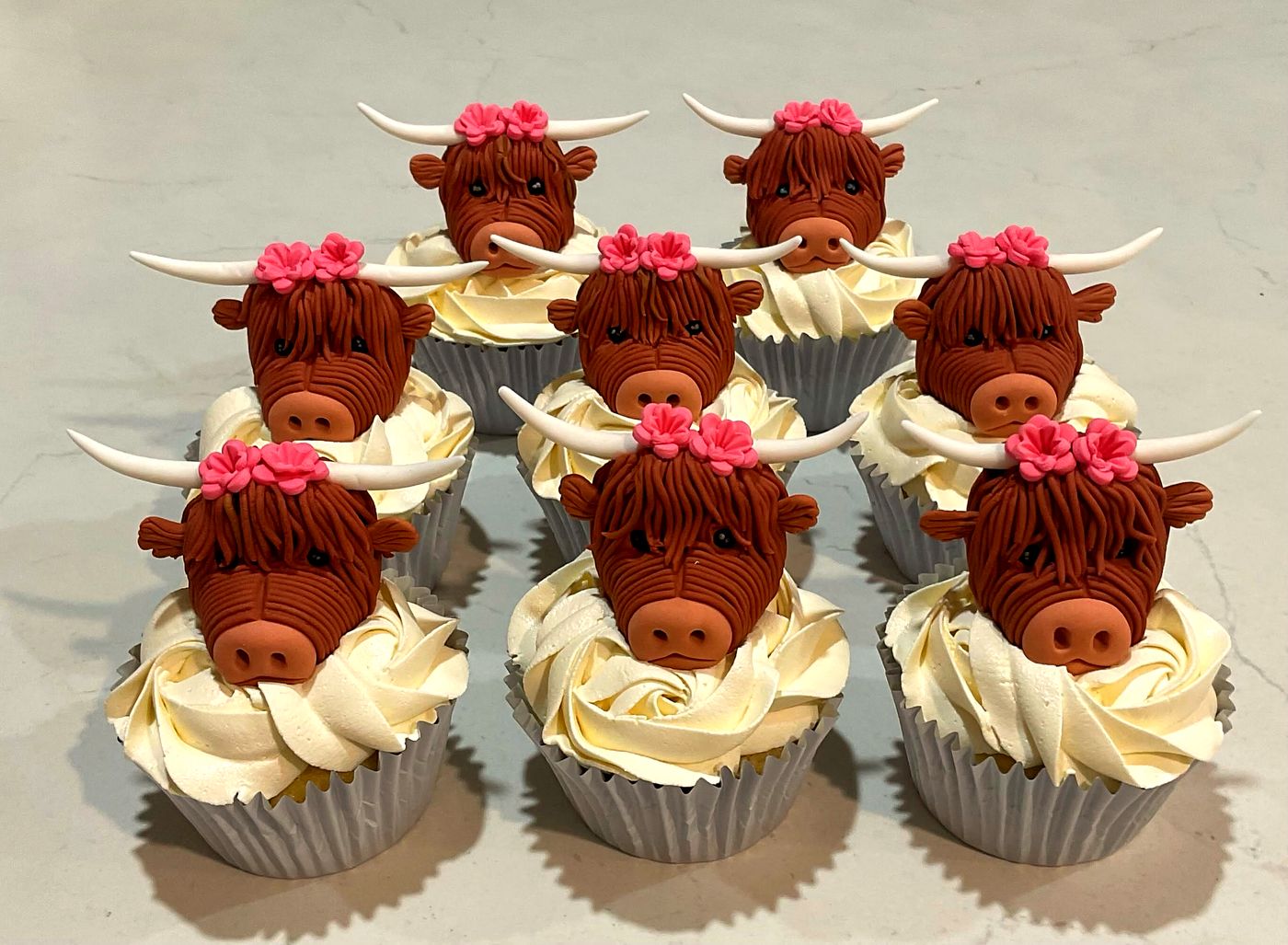 Highland cow cupcakes by Chanelle
